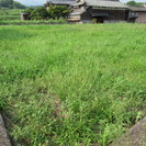 ☆畑貸します☆農業に興味ある方に無料で貸します☆ - 南島原市