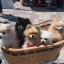 ライブペインター募集！ − 岐阜県