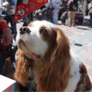 ライブペインター募集！ - その他