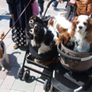 ライブペインター募集！ - 土岐市