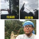 お庭の手入れ致します。【埼玉県内 所沢市 川越市 入間市 さいたま市】