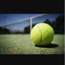 🎾てーきゅーぶ🎾