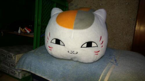 にゃんこ先生ぬいぐるみ
