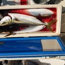 マイボートで釣り − 東京都