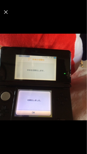 最終値下げ  3DS 稼働品