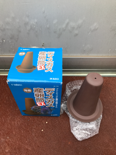 ディスカス産卵筒