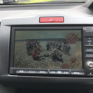 平成18年 フリードの画像