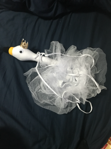 白鳥の衣装