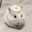 ○友的な関係が欲しい