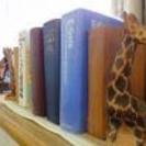 社会人の看護学校受験