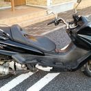 部品取りに最適   マジェC250　(SC03J) の画像