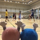 個人参加型バレー３０歳以上@東京