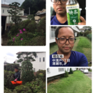 お庭の手入れ致します【所沢市 狭山市 入間市 川越市 さいたま市...