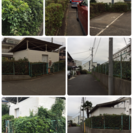 お庭の手入れ致します【所沢市 狭山市 入間市 川越市 さいたま市 新座市】 - 所沢市