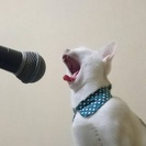   音大出身・現職音楽講師がDTMレッスン致します。 　DTMソ...