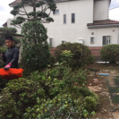 空き家の管理 除草 木の剪定致します。【所沢市 埼玉県内 都内】