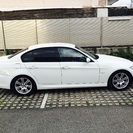 【交換・下取可】 BMW 320i Mスポーツパッケージ 人気のアルピンホワイト 車検H31年7月末まで！ 絶好調　オマケ付き♪ の画像