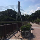 サイクリング仲間 - 玉名市