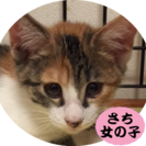 里親さん、募集です。