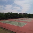 9/2 sat 15:00～17:00@王子公園でテニスしてビー...