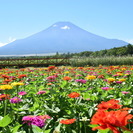 リゾート地でのんびりパートタイム♪　ペンション客室係と配膳係募集！の画像