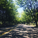 【女性限定】駒沢公園ウォーキングしましょう〜