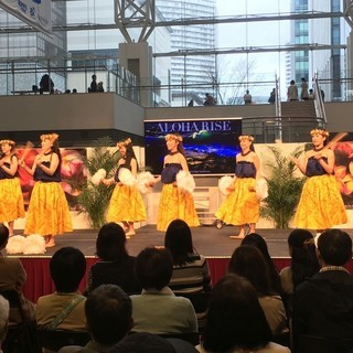 🌺横浜🌺フラダンス経験者の方募集(土曜日)の画像