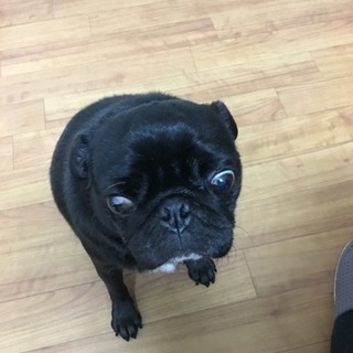 作業療法士さん募集❗️1件あたり、5000円‼️の画像