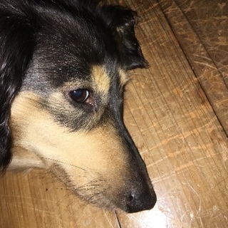 友達募集中です