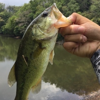 淀川、関西バス釣り仲間( •̀ω•́ )و