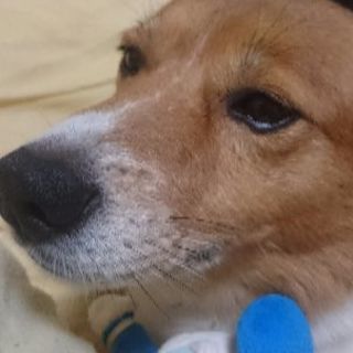そう極性障害者です