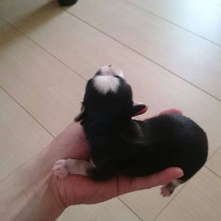 7月21日に産まれました‼