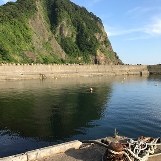 釣り仲間募集