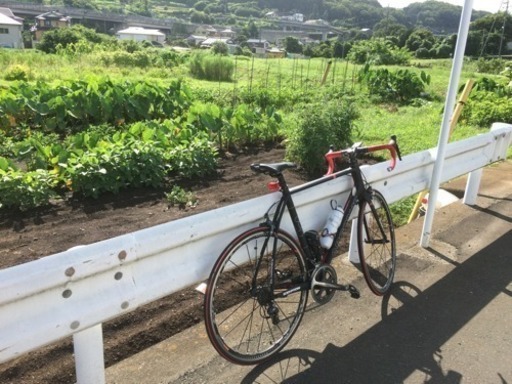 アルゴン18 Crypton