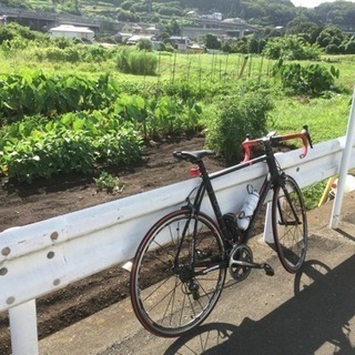 アルゴン18 Cryptonの画像