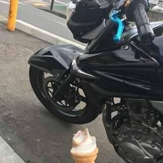 SUZUKI GSR250の画像