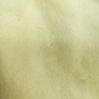 ★イング★フルジップベストの画像