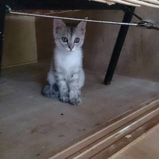 くるみちゃんのお家探し