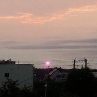 8/19(土)か8/20(日)、夜飲みに行けるかた居ませんか？(...