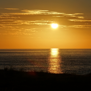介護支援専門員の画像