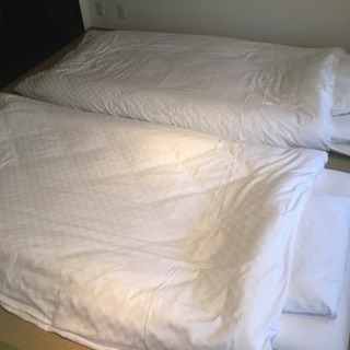 高時給！ゲストハウス清掃・救急隊募集