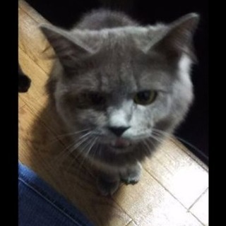 写真足します