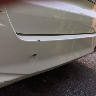 10アルファード 前期の画像