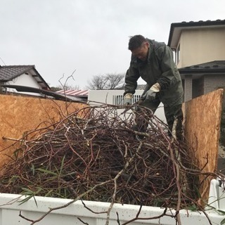 草刈り 木の伐採 引っ越し作業の画像