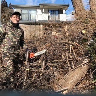 草刈り 木の伐採 引っ越し作業