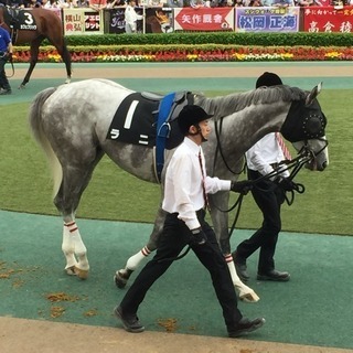 東京競馬場友達になりたいです。