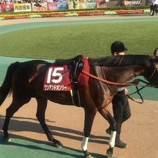 東京競馬場友達になりたいです。 - 友達