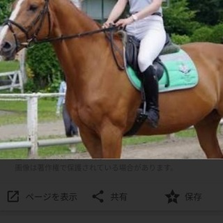 馬に興味のあるかた募集！男女問わず歓迎(๑´ڡ`๑) - メンバー募集