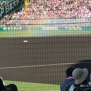 【素人大歓迎です】マネージャーさん募集 - スポーツ