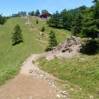 ☆費用無料☆8/24、25雲取山に登りませんか？
登山パートナー...